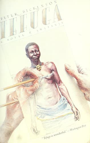 Cover image for Tefuga