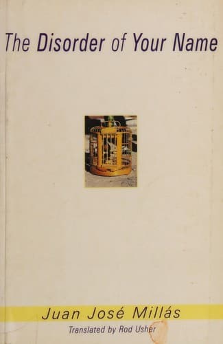 Cover image for The  disorder of your name