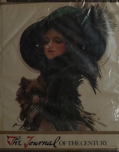 Cover image for The Journal of the century