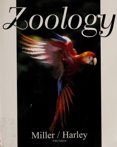 Cover image for Zoology