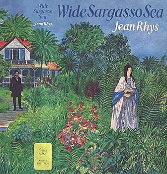 Cover image for Wide Sargasso sea