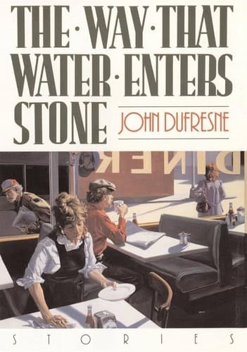 Cover image for The way that water enters stone