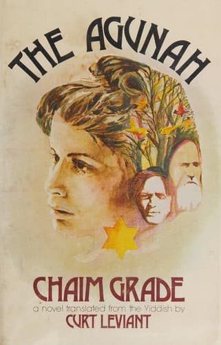 Cover image for The agunah