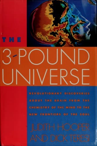 Cover image for The three-pound universe