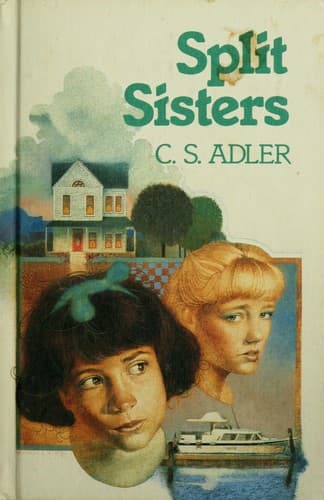 Cover image for Split sisters