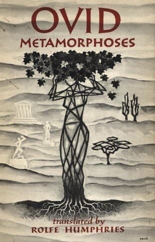 Cover image for The Metamorphoses