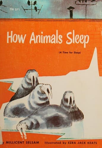 Cover image for How Animals Sleep