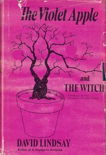 Cover image for The violet apple & The witch