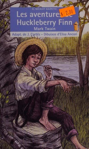 Cover image for Les aventures de Huckleberry Finn
