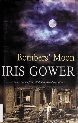 Cover image for Bombers' moon