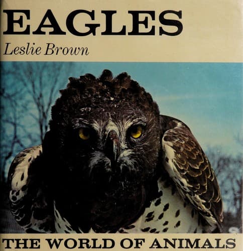 Cover image for Eagles.
