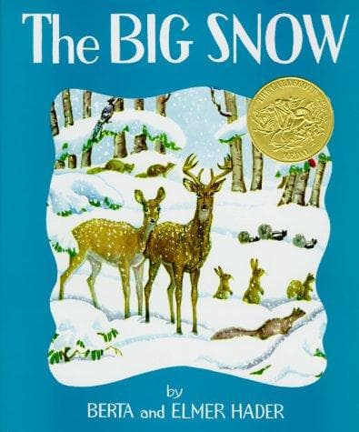 Cover image for The Big Snow