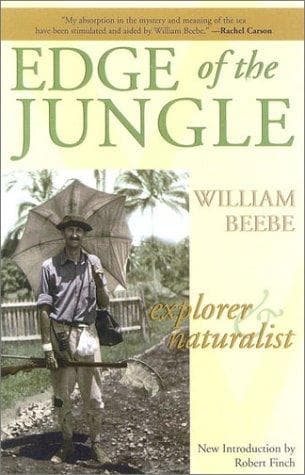 Edge of the Jungle