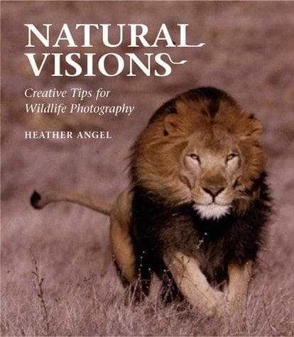 Cover image for Natural Visions