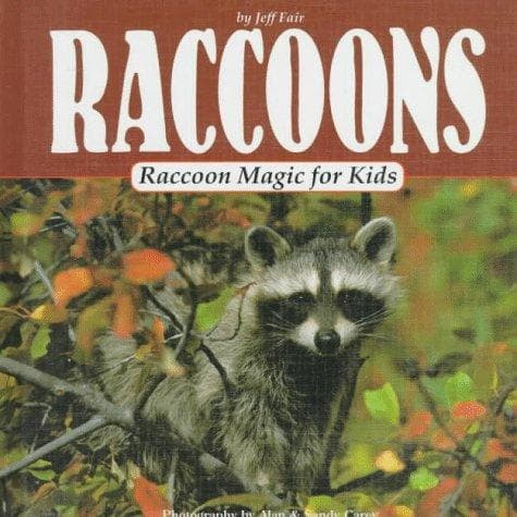 Cover image for Raccoons