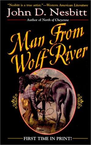 Cover image for Man from Wolf River