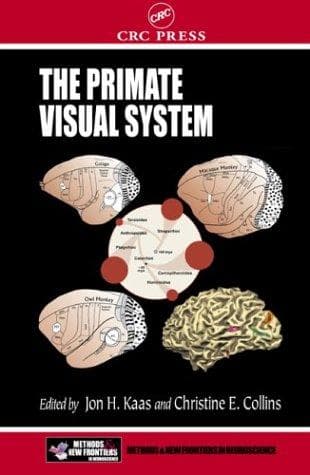 Cover image for The Primate Visual System (Methods & New Frontiers in Neuroscience Series.)