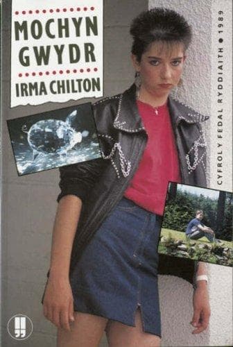 Cover image for Mochyn gwydr