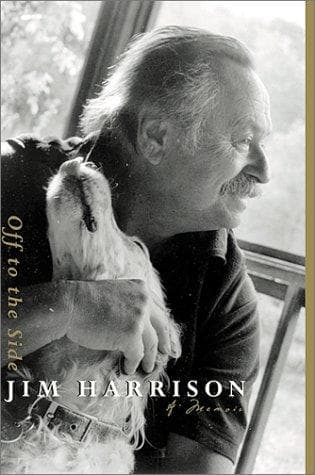 Cover image for Off to the Side