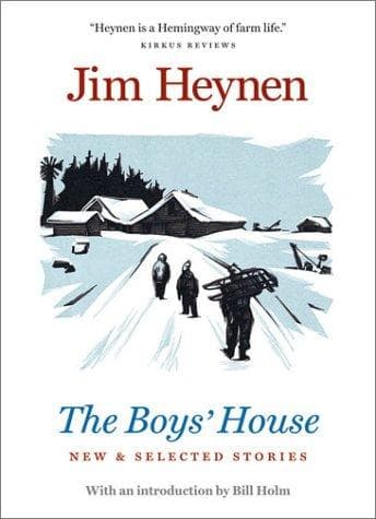 Cover image for The boys' house