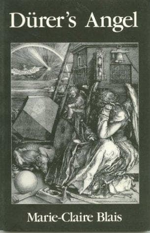 Cover image for Dürer's angel