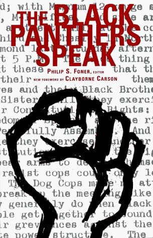 Cover image for The Black Panthers speak