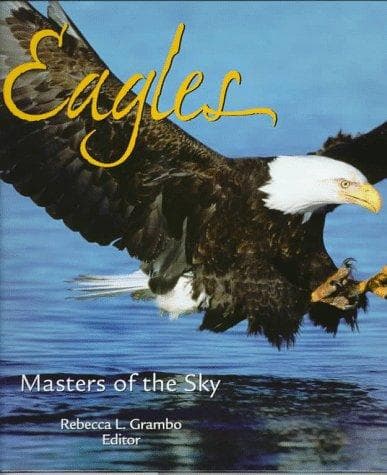 Cover image for Eagles