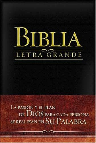 Cover image for Biblia Letra Grande RV 1909