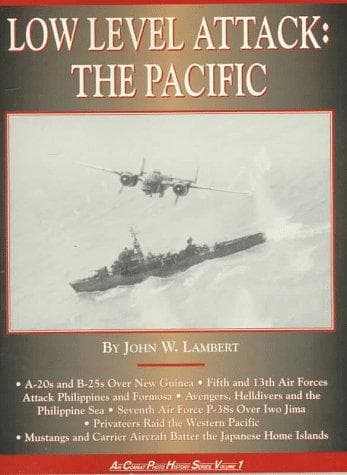 Cover image for Low level attack.