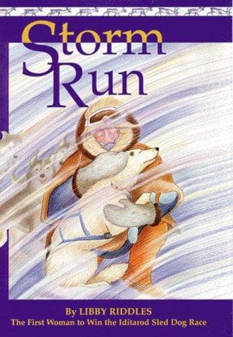 Cover image for Storm Run
