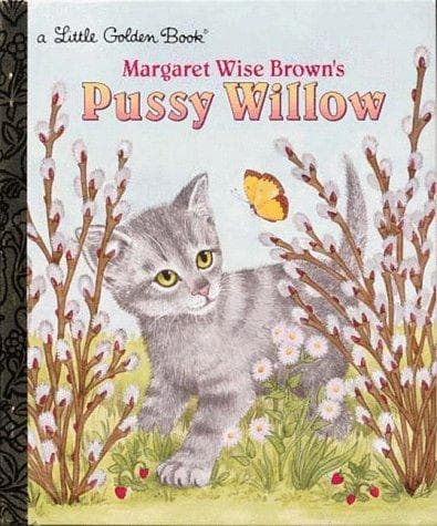 Cover image for Margaret Wise Brown's Pussy Willow