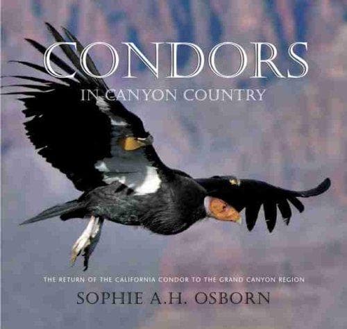 Cover image for Condors in Canyon Country