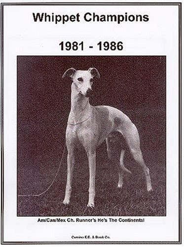Cover image for Whippet Champions