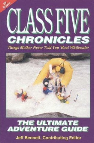 Cover image for Class five chronicles