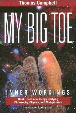 Cover image for My Big TOE