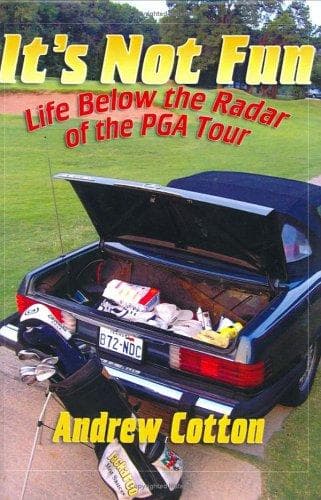 Cover image for It's Not Fun