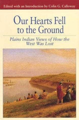 Cover image for Our hearts fell to the ground