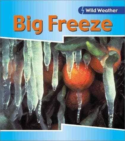 Cover image for Big Freeze (Wild Weather)