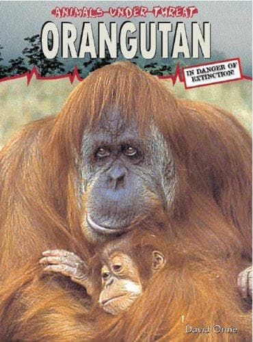 Cover image for Orangutan (Animals Under Threat)