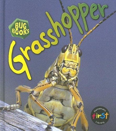 Cover image for Grasshopper (Heinemann First Library)