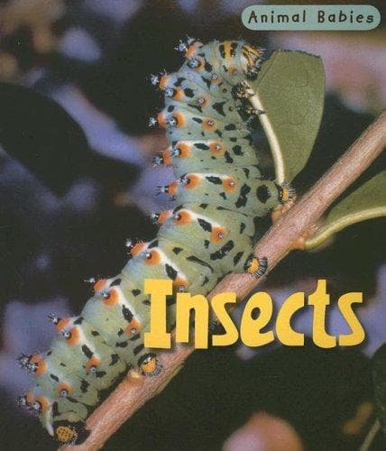 Cover image for Insects (Animal Babies/2nd Edition)