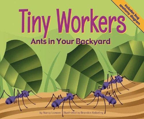 Cover image for Tiny Workers