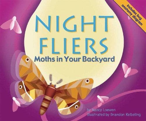 Cover image for Night Fliers