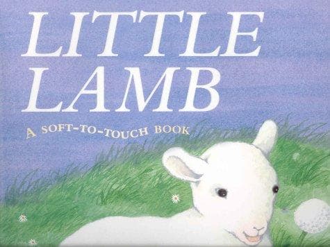 Cover image for Little Lamb