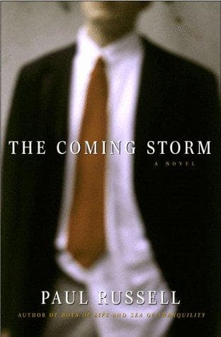 Cover image for The coming storm
