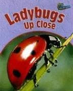Cover image for Ladybugs Up Close (Minibeasts Up Close)