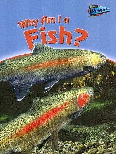 Cover image for Why Am I a Fish? (Classifying Animals)