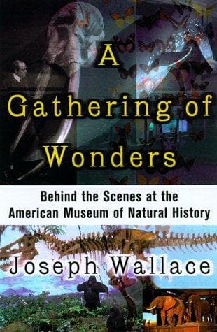 Cover image for A Gathering of Wonders
