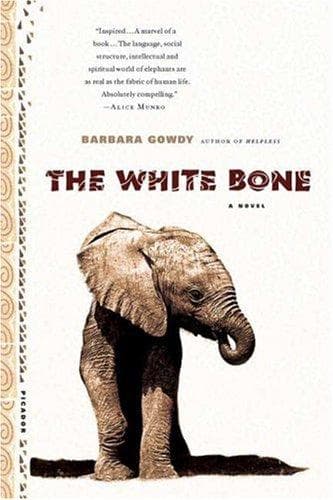 Cover image for The white bone