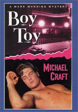 Cover image for Boy toy